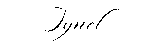 synel.site